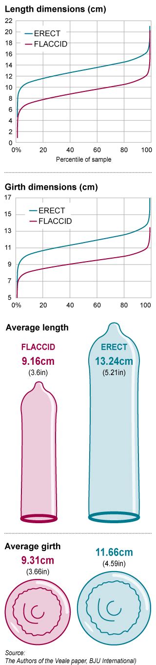 the average size of a stripper sex archive