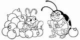 Life Bug Coloring Pages Francis Papan Pilih Bugs sketch template