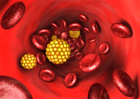 function  lipoproteins   body