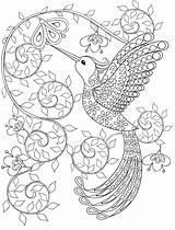 Coloring Zen Book sketch template