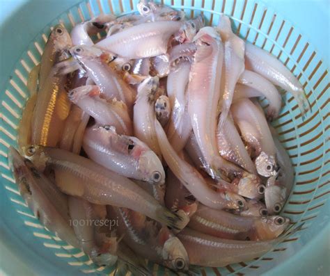 koleksi  resepi ikan bilis celup tepung