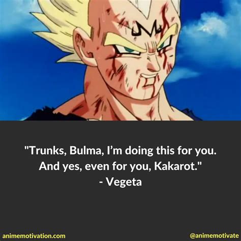 The Greatest Vegeta Quotes Dragon Ball Z Fans Will