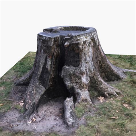 tree stump ds