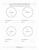 Circumference Circle Worksheet Area Radius Worksheets Worksheeto Via sketch template