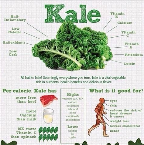 Kale Infographic Overloaded Information Pinterest
