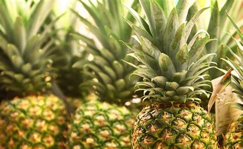 kerala   ways  earn   pineapples