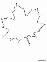 Maple Tree Coloring Pages Printable Recommended sketch template
