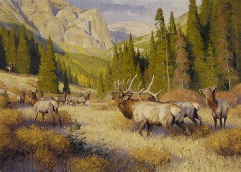 elk painting  ralph oberg wildlife paintings wildlife artwork
