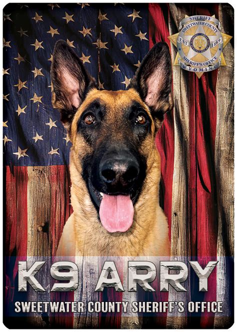 Law Enforcement K9 In Sweetwater County To Receive Body Armor The
