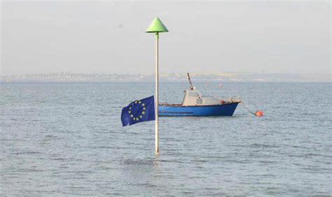 brexit news remainers raise  eu flags  southend beach uk news expresscouk