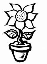 Coloring Pages Printable Sunflower Labels Flower sketch template