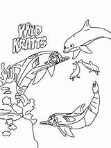 Kratts Kratt Hermanos Pintar Dolphins Tal Estés Buscando Dolphin sketch template