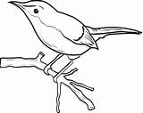 Birdie Coloring Little sketch template