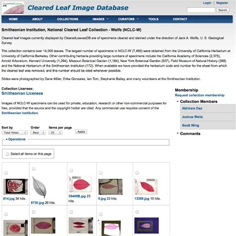 clearedleavesdb     cleared plant leaf images