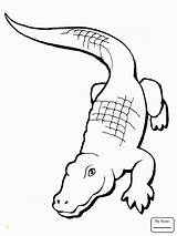 Coloring Alligator Gar Pages Divyajanani sketch template