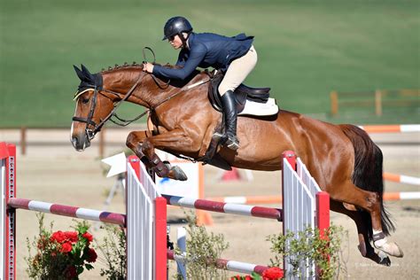 show jumping slo horse news