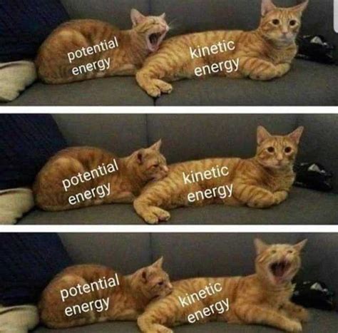 potential energy kinetic energy potential energy kinetic energy