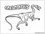 Coelophysis Pages Dinosaur Coloring Color Printable Dinosaurs sketch template