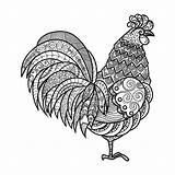 Zentangle Rooster Chicken Stylized sketch template