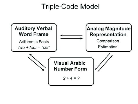dehaene  cohens  triple code model adapted  cohen
