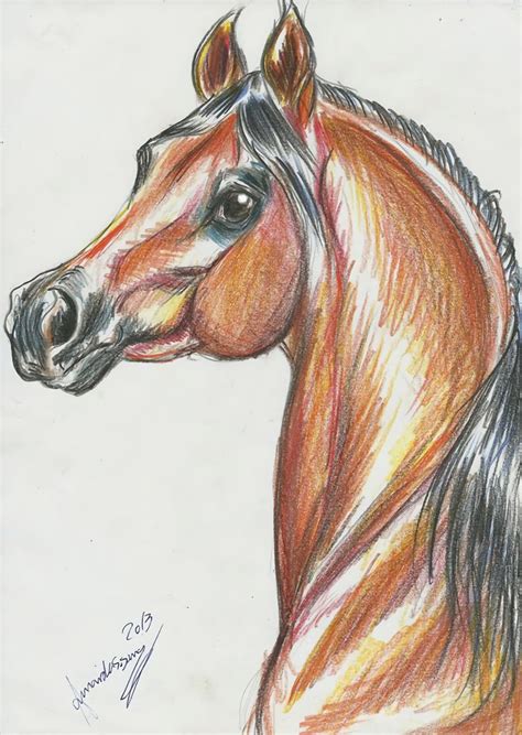 images  arabian horse art  pinterest limited edition