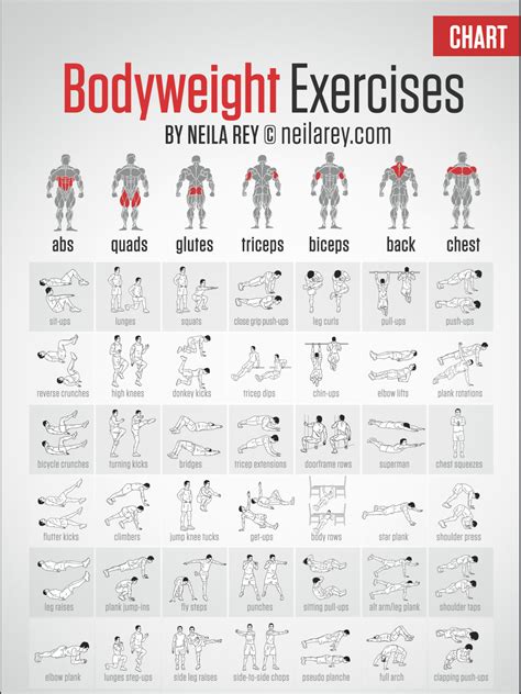 bodyweight exercise chart