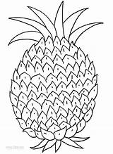 Pineapple Coloring Pages Drawing Kids Print Printable Cool2bkids Getdrawings sketch template