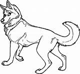 Coloring Husky Pages Wecoloringpage sketch template