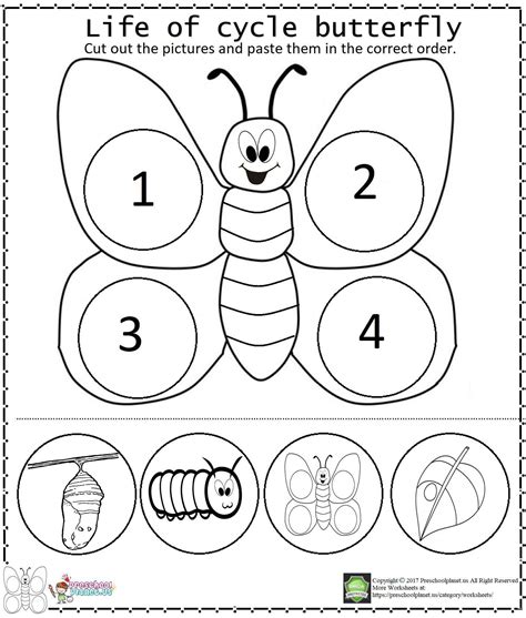 butterfly worksheets  kindergarten life cycle butterfly worksheet