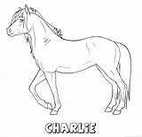 Charlie Paard Naam Kleurplaat sketch template