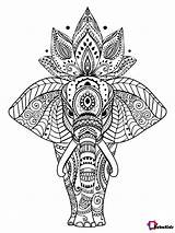 Mandala Coloring Animal Pages Elephant Adults Surging Kids Color Bubakids Online sketch template