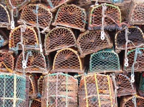 stacked lobster pots  photo  freeimages