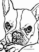 Frenchie Bulldog sketch template