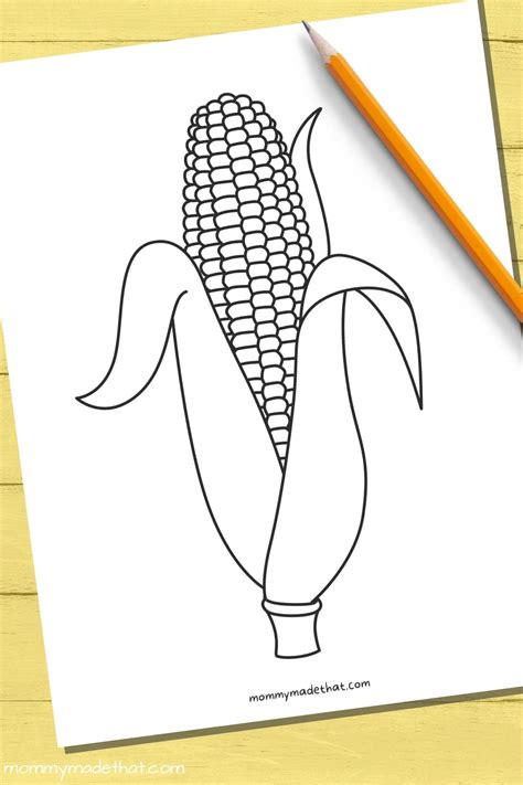 corn    outline