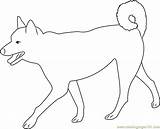 Coloring Dog Walking Pride Pages Coloringpages101 sketch template