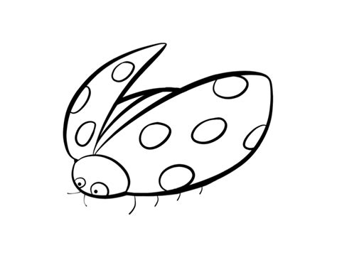 lady bug coloring sheet coloring home