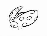 Coloring Ladybug Pages Clip Library sketch template