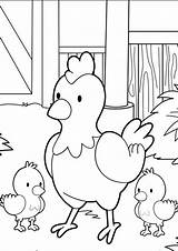 Pages Coloriage Babies Animaux Hellokids Ferme Lolirock Amaru Tulamama Sheets Poule Cycle Crias Coloriages Pintar Pigs Basse Poussins Dxf Roosters sketch template