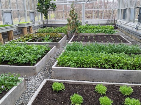 january harvest   vegetable greenhouse  martha stewart blog