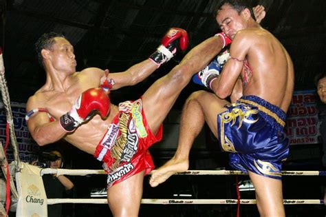 Watch 5 Of Saenchai S Best Fights Videos Evolve Daily