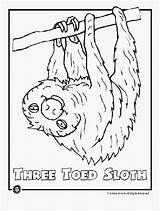 Rainforest Coloring Animals Pages Endangered Animal sketch template
