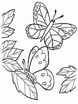 Coloring Pages Gambar Mewarnai Butterfly Spring Kupu Sheets Kids Printable Realistic Bunga Pollinator Flying Print Lembar Dan Book Garden Boys sketch template