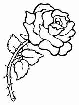 Rose Thorns Coloring Pages Printable Color Roses sketch template