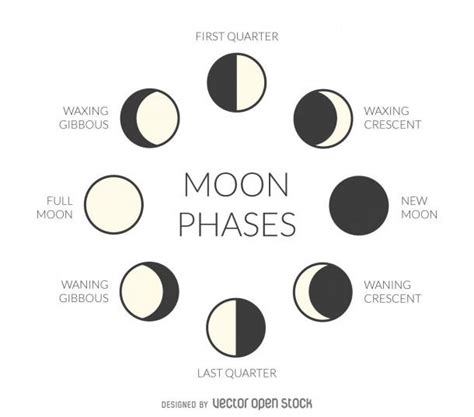 moon phase diagram moon phases drawing moon phases art moon phases
