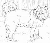 Akita Coloring American Pages Shiba Husky Dog Dogs Printable Drawings Color Drawing Miniature Spotted Leopard Coat Horse Click Designlooter Print sketch template