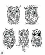 Coloring Adult Owl Voor Volwassenen Google Pages Mindful Boeken Bol Kleuren Kleurboeken Bezoeken Patterns Books Drawing Ca Adults sketch template