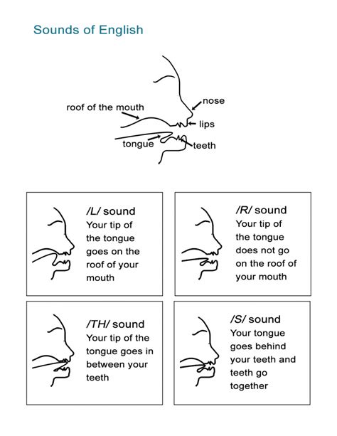 phonetic sounds mouth anatomy  english pronunciation  esl