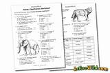 Animal Classification Worksheets Worksheet Printable Kids Wildlife Animals Science Sponsored Links Click Activewild sketch template