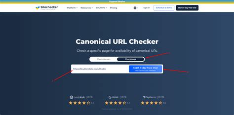 canonical tag checker test  url canonical fix