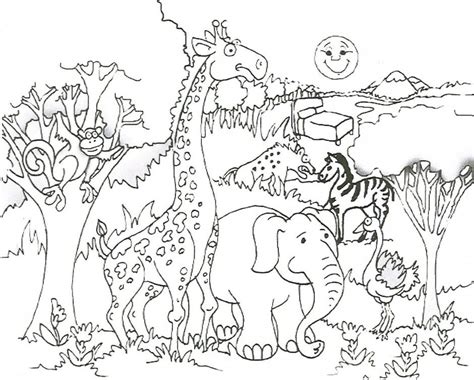 safari animals colouring pages clip art library